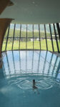 Das Grandhotel Kronenhof: Pool