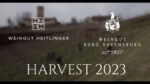 Heitlinger Genusswelten - Weingut Harvest 2023